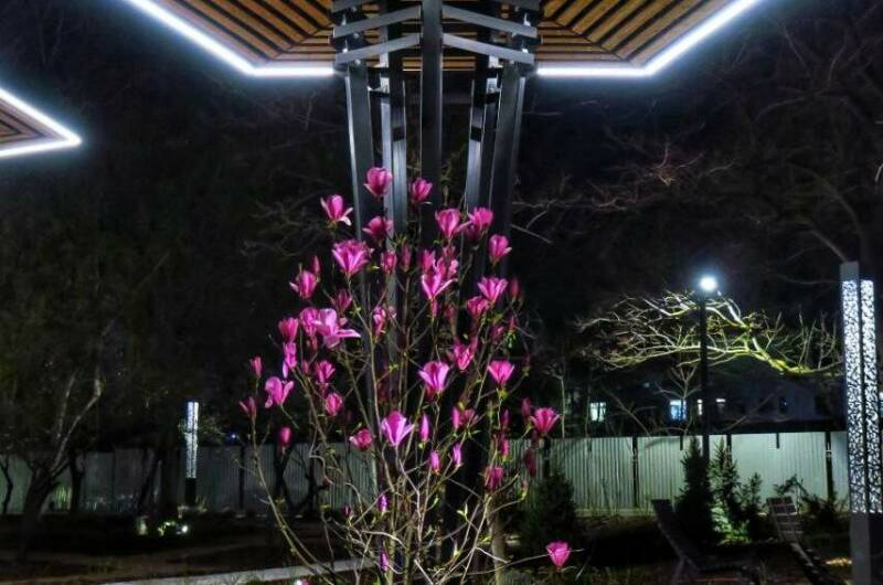 Квартира у парка Фрунзе и горпляжа