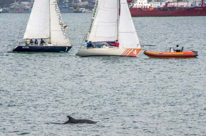 Квартира у парка Фрунзе и горпляжа