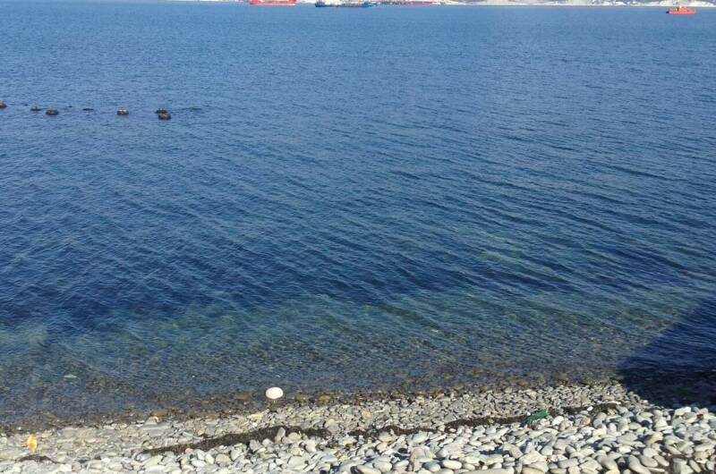 Однокомнатная квартира на первой береговой линии