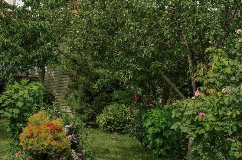 Комната в частном доме на Ленина