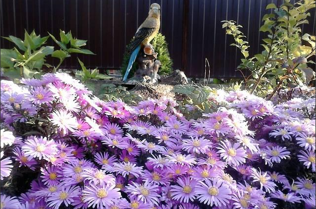 Комната в частном доме на Ленина