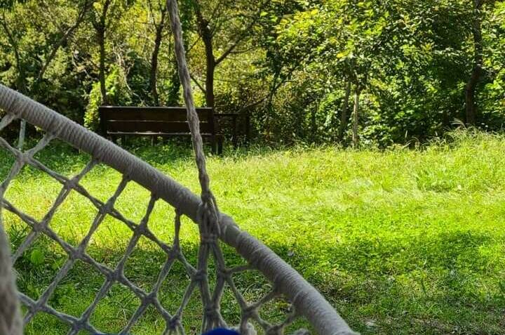 Гостевой дом «Старый ясень»